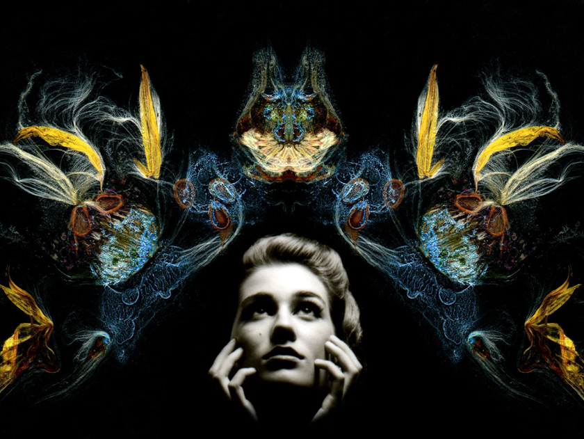 Image is not available